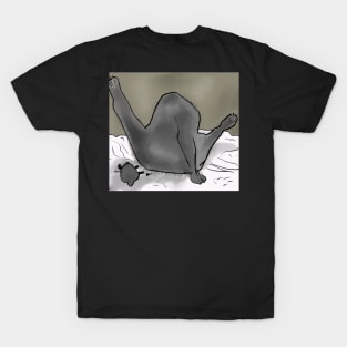 Mr. Kitty and the Ol' Razzle Dazzle T-Shirt